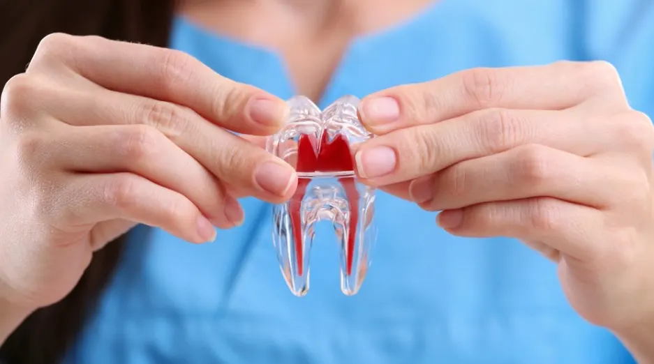 Best Root Canal Treatments In PCMC